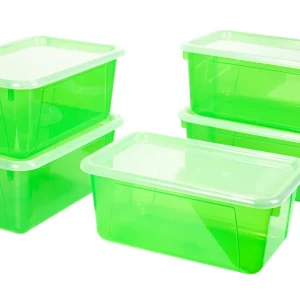 Small Cubby Bin with Lid, Tint Green