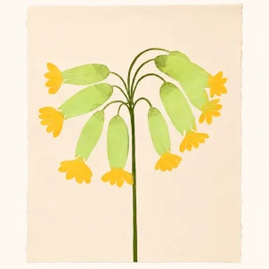 Cowslip