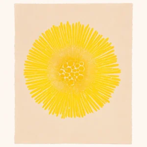 Coltsfoot Print